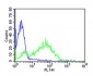 human CD25 Antibody